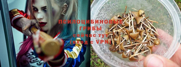 МДПВ Алексеевка