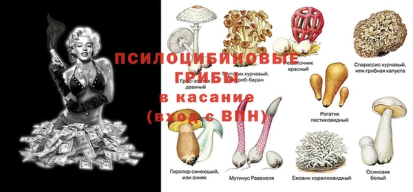 тгк Алзамай