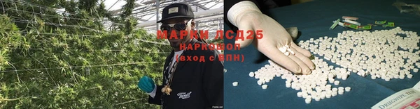 тгк Алзамай