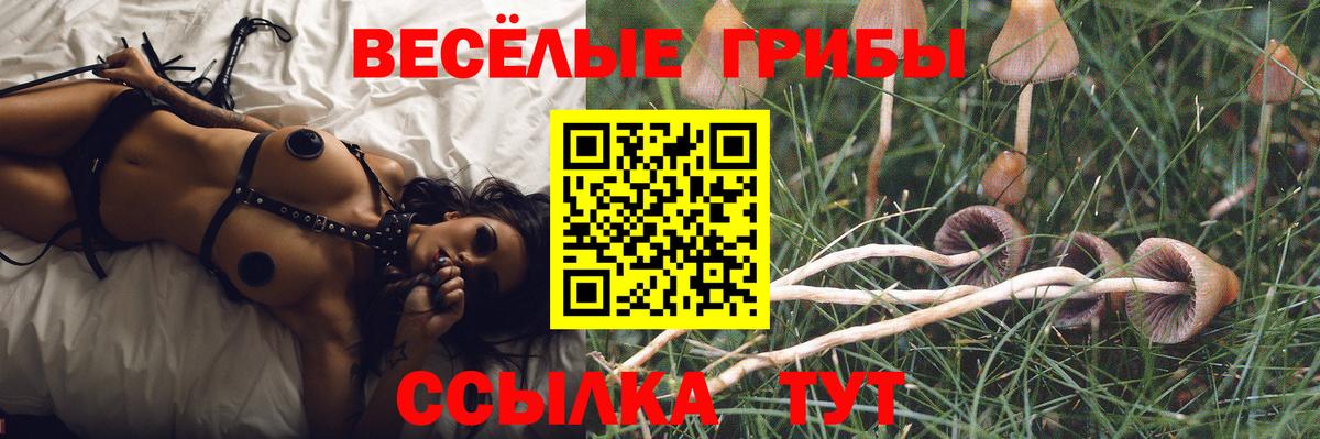 Нижнеудинск  Псилоцибиновые грибы мухоморы  Псилоцибиновые грибы Cubensis  Вход с VPN 